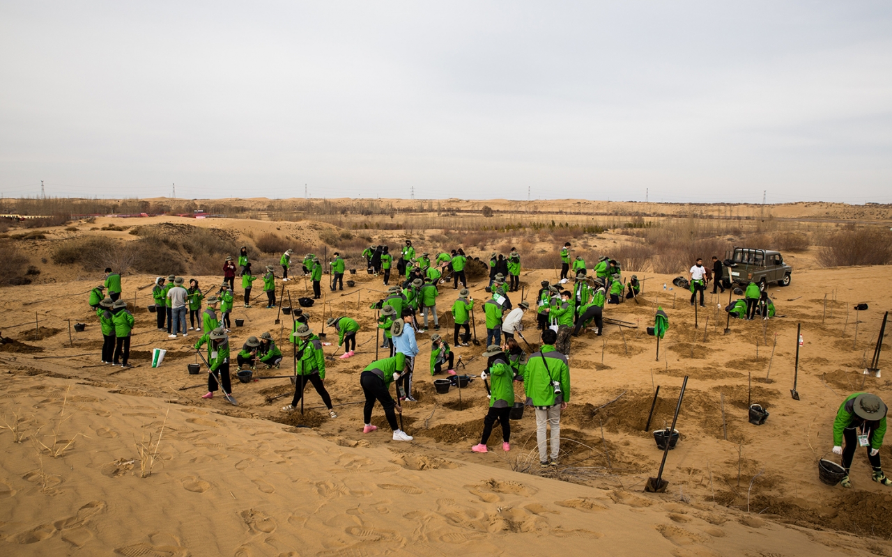 사진은 쿠부치 사막에서 나무를 심는 2018 한중 녹색봉사단 모습.