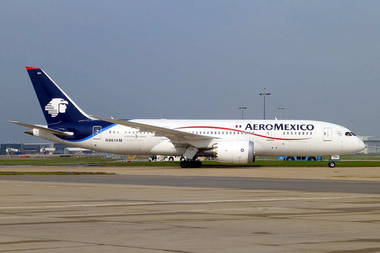 아에로멕시코 항공기[사진=위키피디아]
